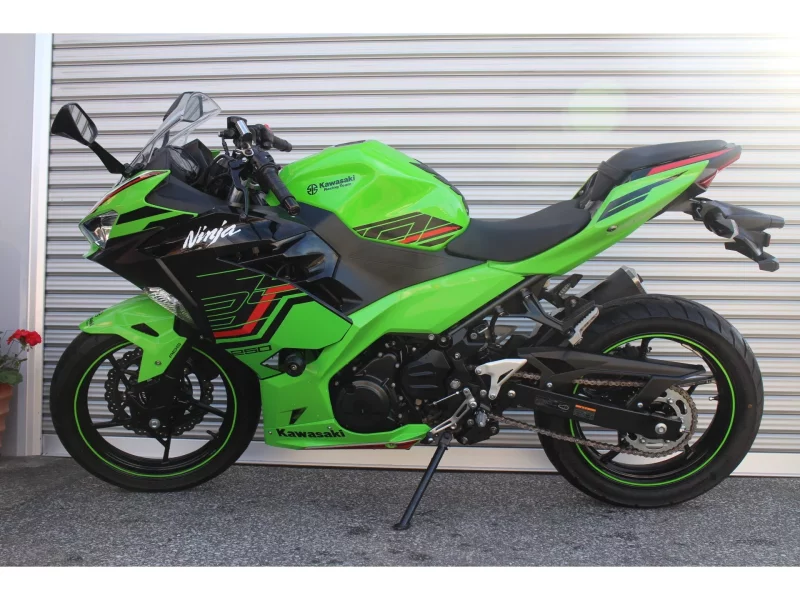 Kawasaki Ninja 250 KRT ED