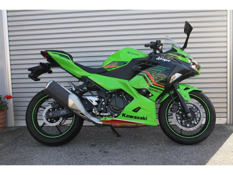 Kawasaki Ninja 250 KRT ED