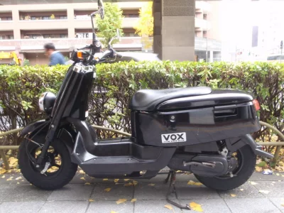 Yamaha VOX DELUXE