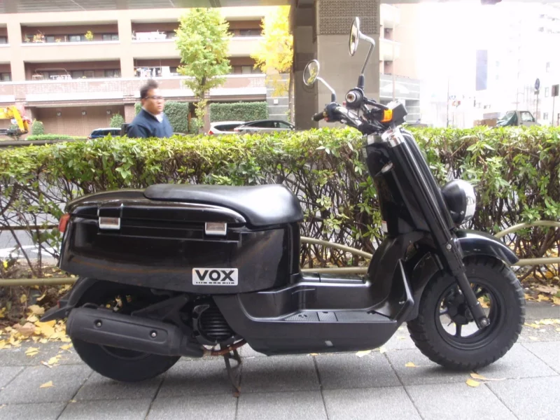 Yamaha VOX DELUXE