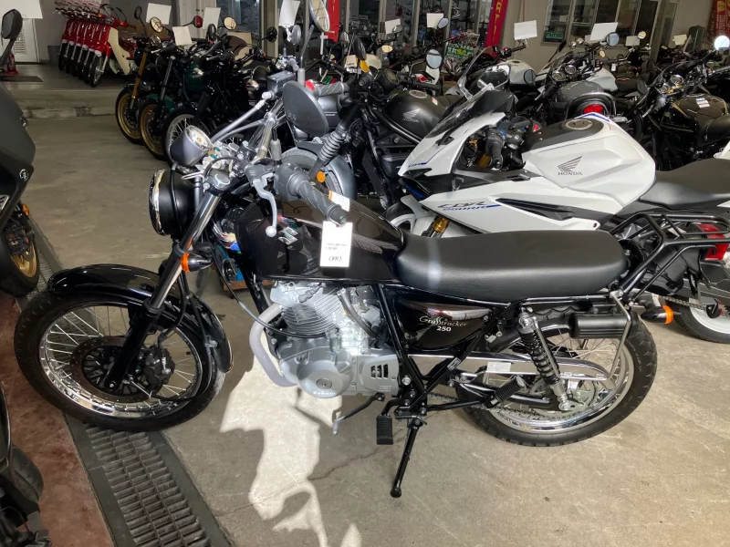 Suzuki GLASS TRACKER BIG BOY