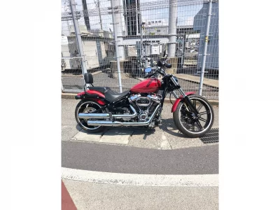 Harley-Davidson HARLEY FLI HYDRA-GLIDE