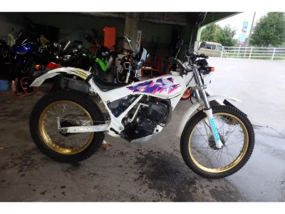 Honda TLM200