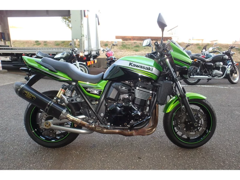 Kawasaki ZRX1200 DAEG
