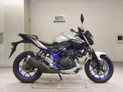Yamaha MT-25  с аукциона в Японии
