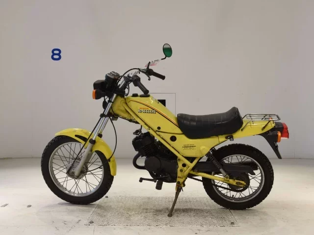 Honda RACCOON