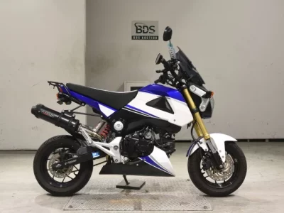 Honda GU ROM