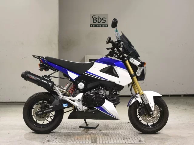 Honda GU ROM