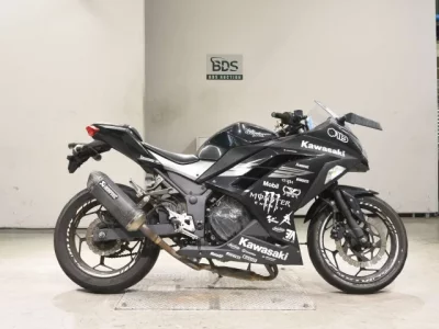Kawasaki NINJA250