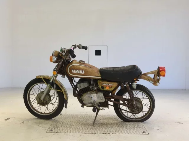 Yamaha GT50