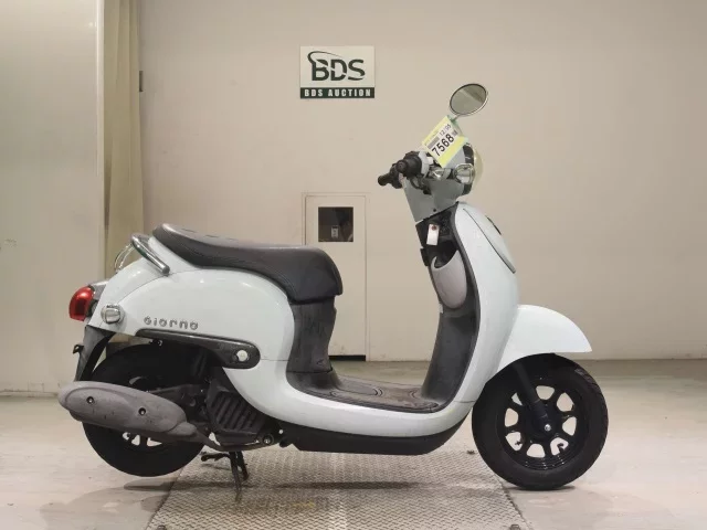 Honda GIORNO -3