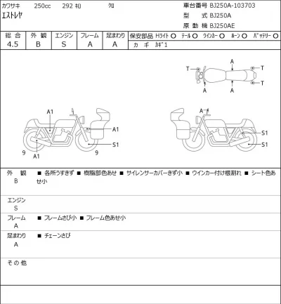 Kawasaki ESTRELLA250 RS лот № 5295 оценка 4.5  с аукциона в Японии 0