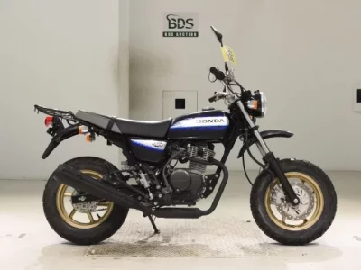 Honda APE100