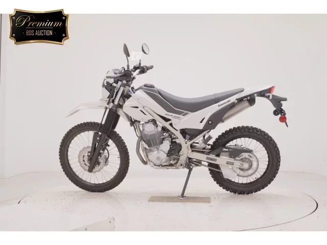 Kawasaki KLX230 SHERPA