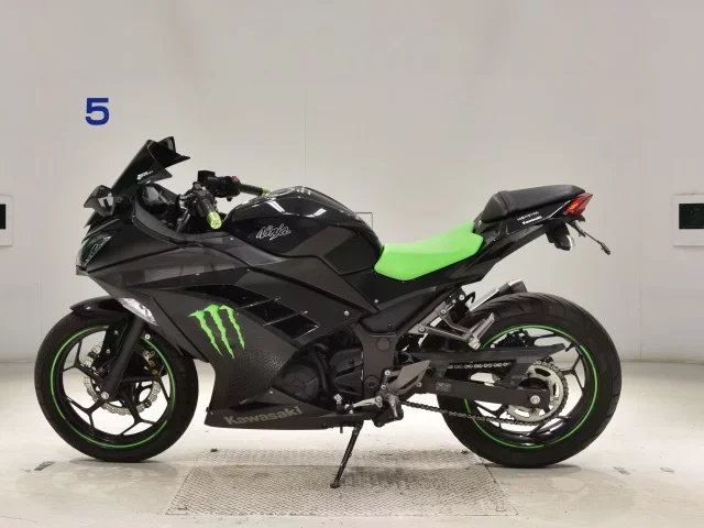 Kawasaki NINJA250