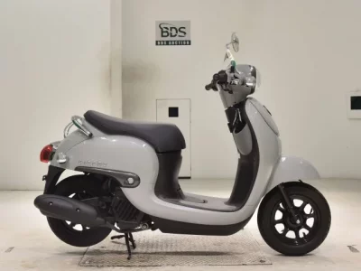 Honda GIORNO -3