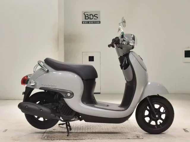 Honda GIORNO -3