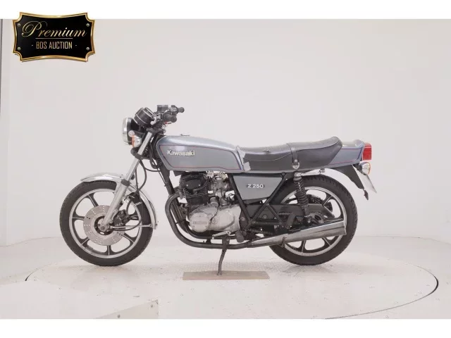 Kawasaki Z250FT