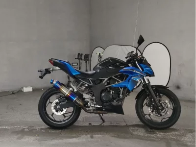 Kawasaki Z250SL