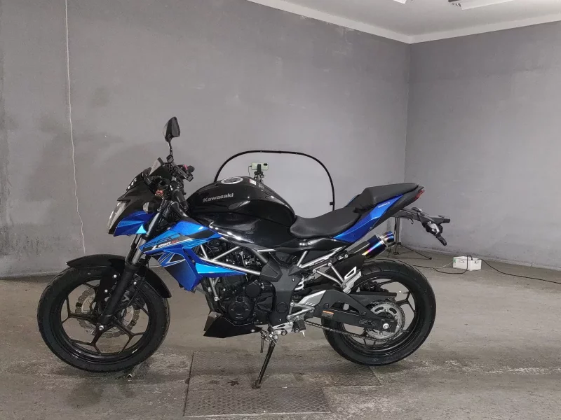 Kawasaki Z250SL