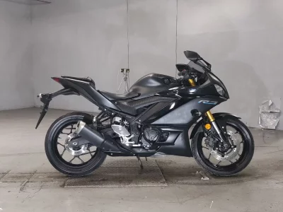 Yamaha YZF-R3 2019