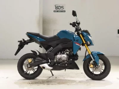 Kawasaki Z125PRO
