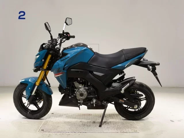 Kawasaki Z125PRO