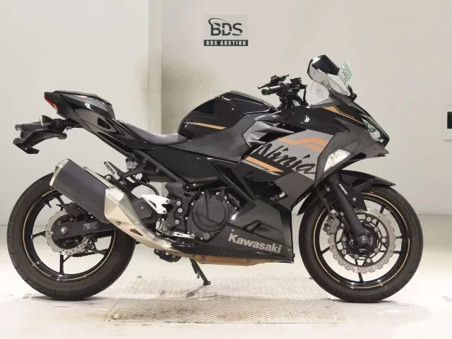 Kawasaki NINJA250-2 лот № 2885 оценка 5  с аукциона в Японии