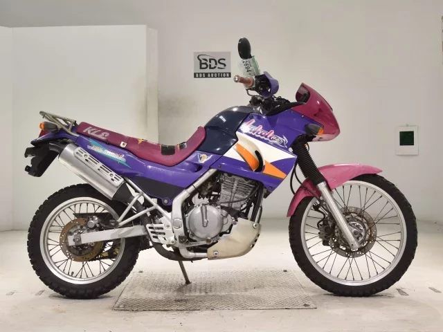 Kawasaki KLE250 лот № 2694 оценка 4  с аукциона в Японии