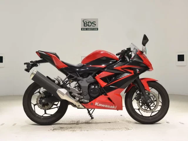 Kawasaki NINJA250SL лот № 5219 оценка 4  с аукциона в Японии