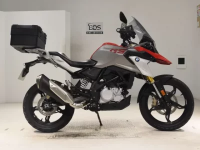 Other BMWG310GS