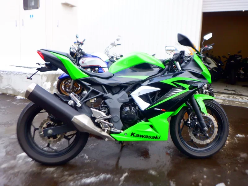 Kawasaki Ninja 250SL лот № 00062 оценка 4  с аукциона в Японии