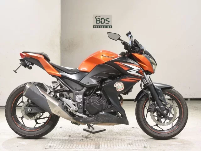 Kawasaki Z250