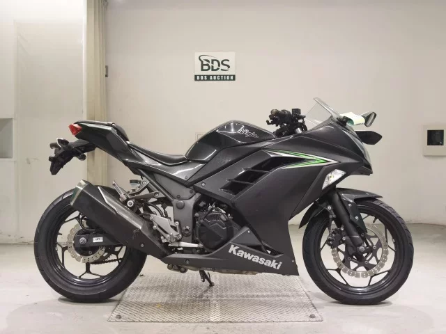 Kawasaki NINJA250 лот № 7539 оценка 4  с аукциона в Японии