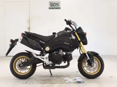 Honda GU ROM
