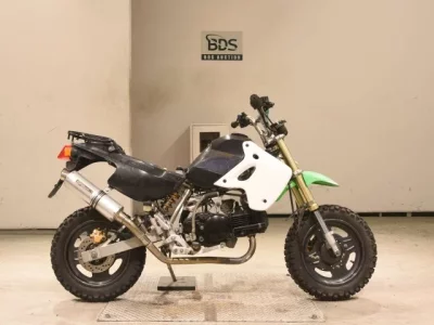 Kawasaki KSR110