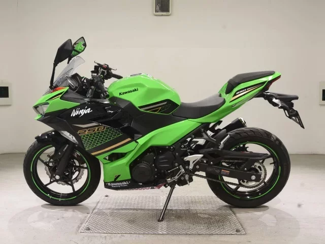Kawasaki NINJA250-2