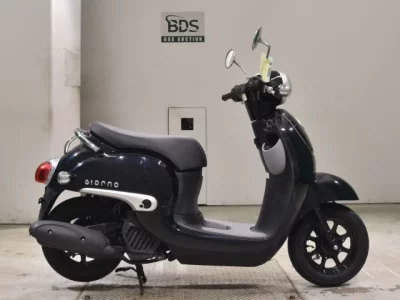 Honda GIORNO -3