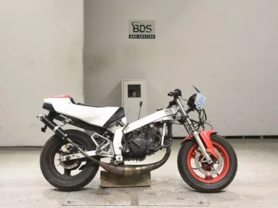 Honda NSR50