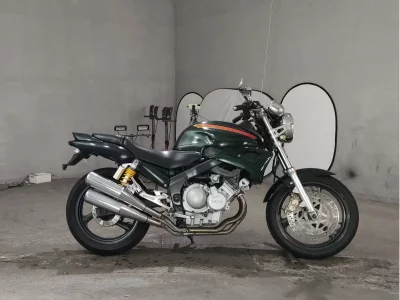 Yamaha ZEAL
