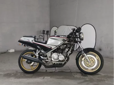 Yamaha FZR250