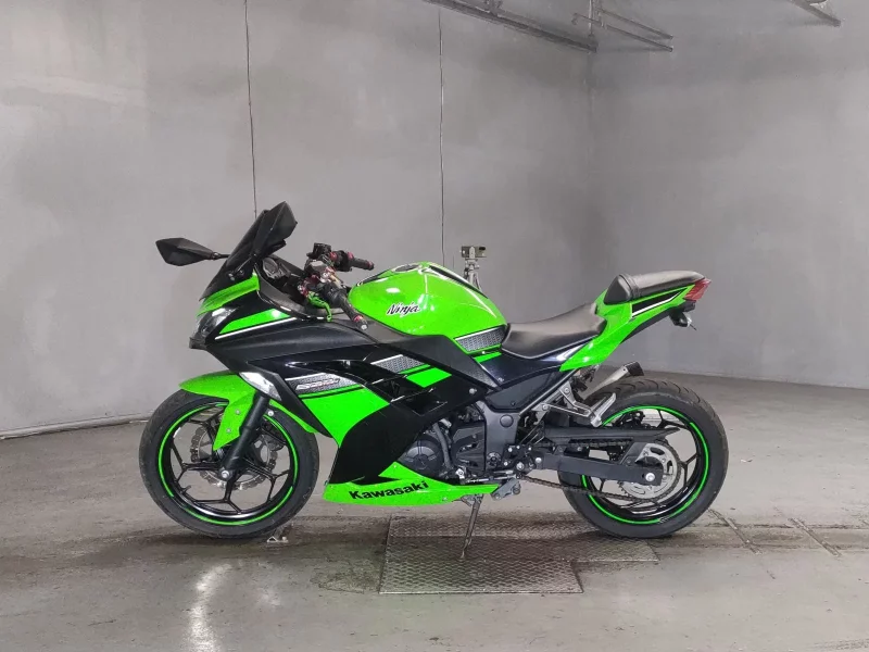 Kawasaki NINJA250