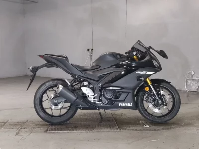Yamaha YZF-R3 2019