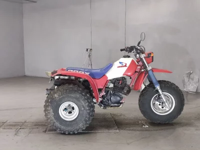 Honda ACT200X