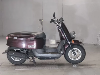 Yamaha VOX