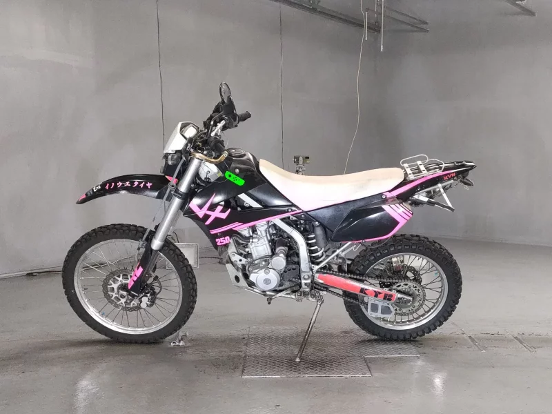 Kawasaki KLX250