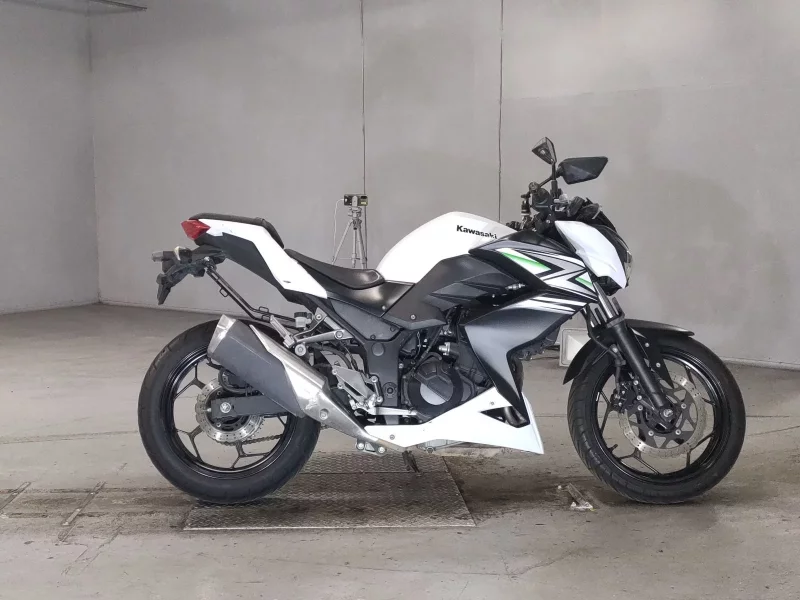 Kawasaki Z250