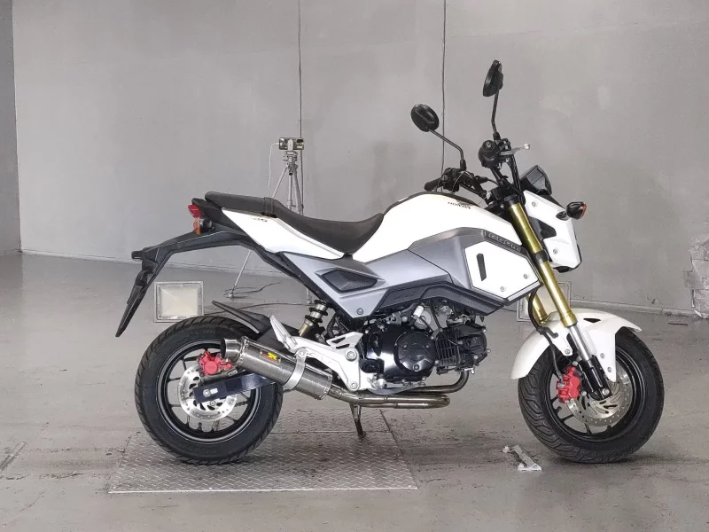 Honda GU ROM
