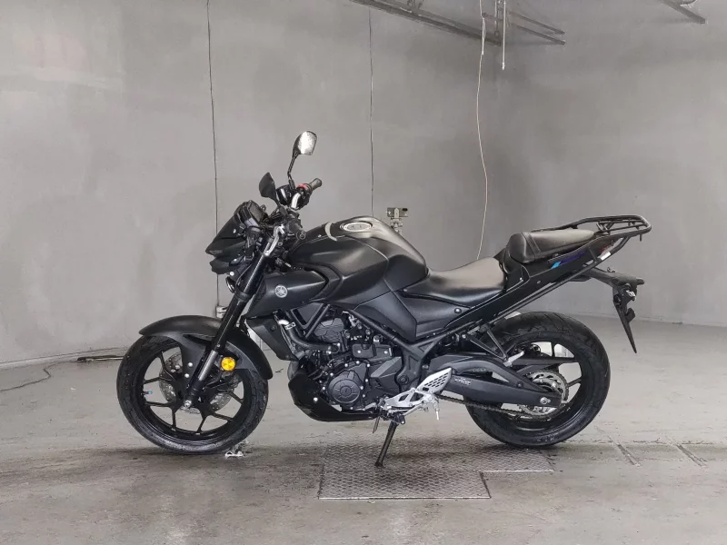 Yamaha MT-25
