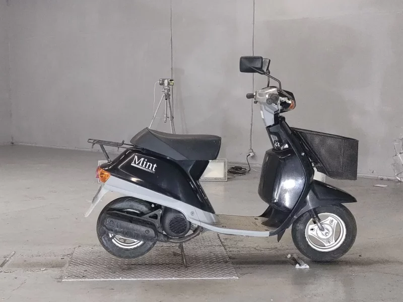 Yamaha MINT